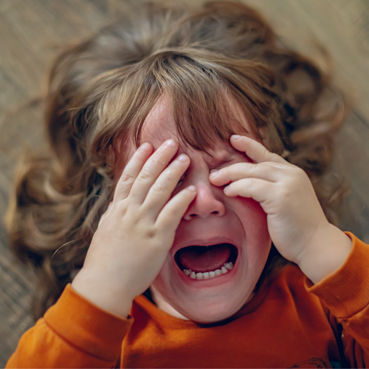 Criança de 2 a 4 anos chorando durante episódio de birra